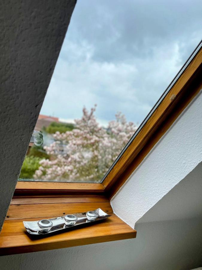 *To Hus* Wohnung Am Rande Von Jever Eksteriør billede